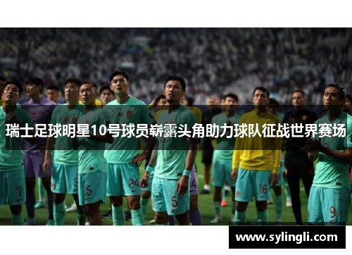 瑞士足球明星10号球员崭露头角助力球队征战世界赛场