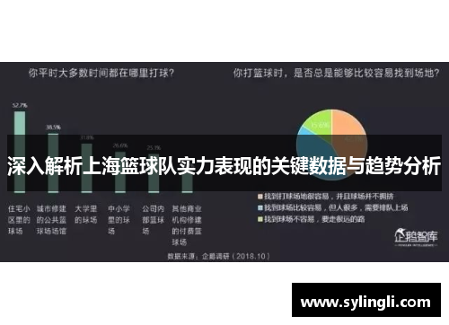 深入解析上海篮球队实力表现的关键数据与趋势分析