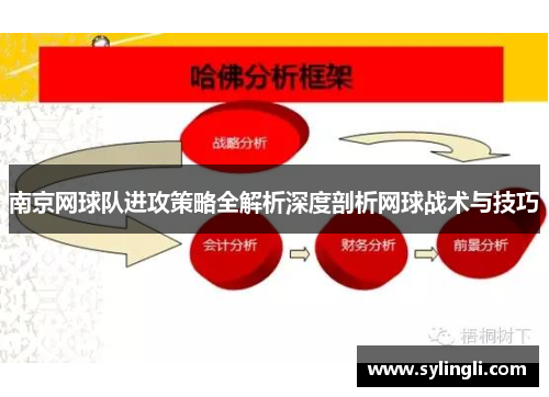 南京网球队进攻策略全解析深度剖析网球战术与技巧