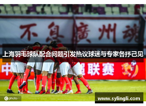 上海羽毛球队配合问题引发热议球迷与专家各抒己见