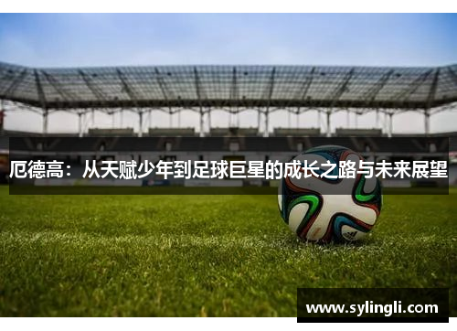 厄德高：从天赋少年到足球巨星的成长之路与未来展望