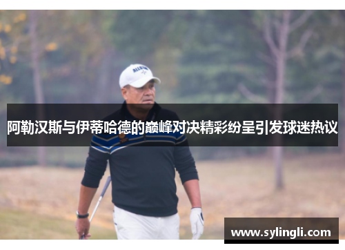 阿勒汉斯与伊蒂哈德的巅峰对决精彩纷呈引发球迷热议